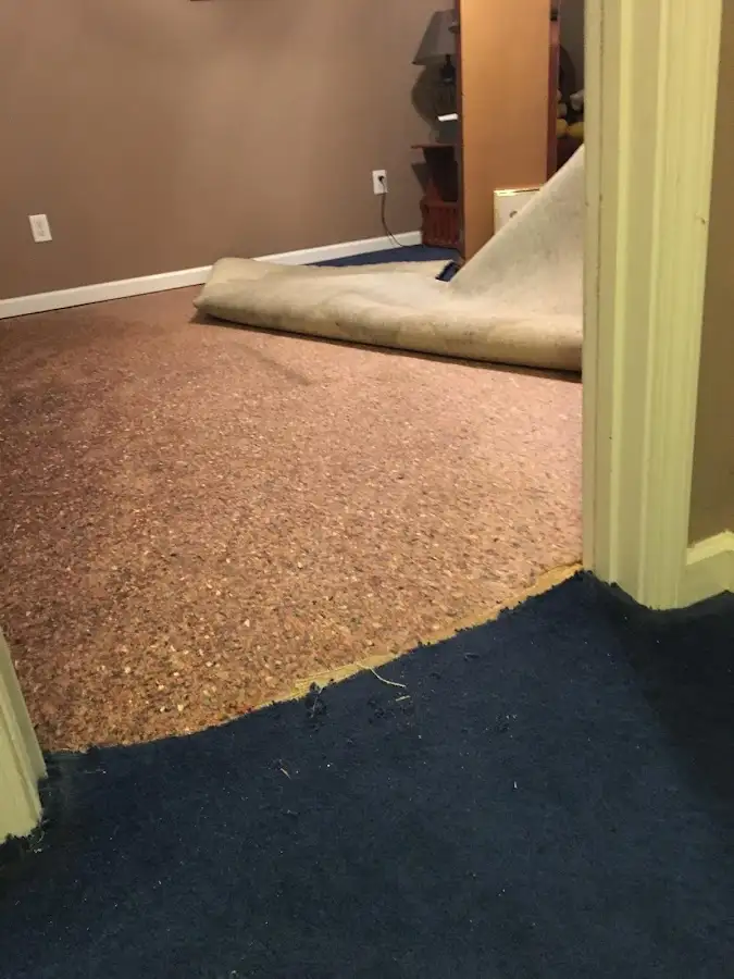Carpet pad removal revealing water damage during Drying & Dehumidification in Palm City