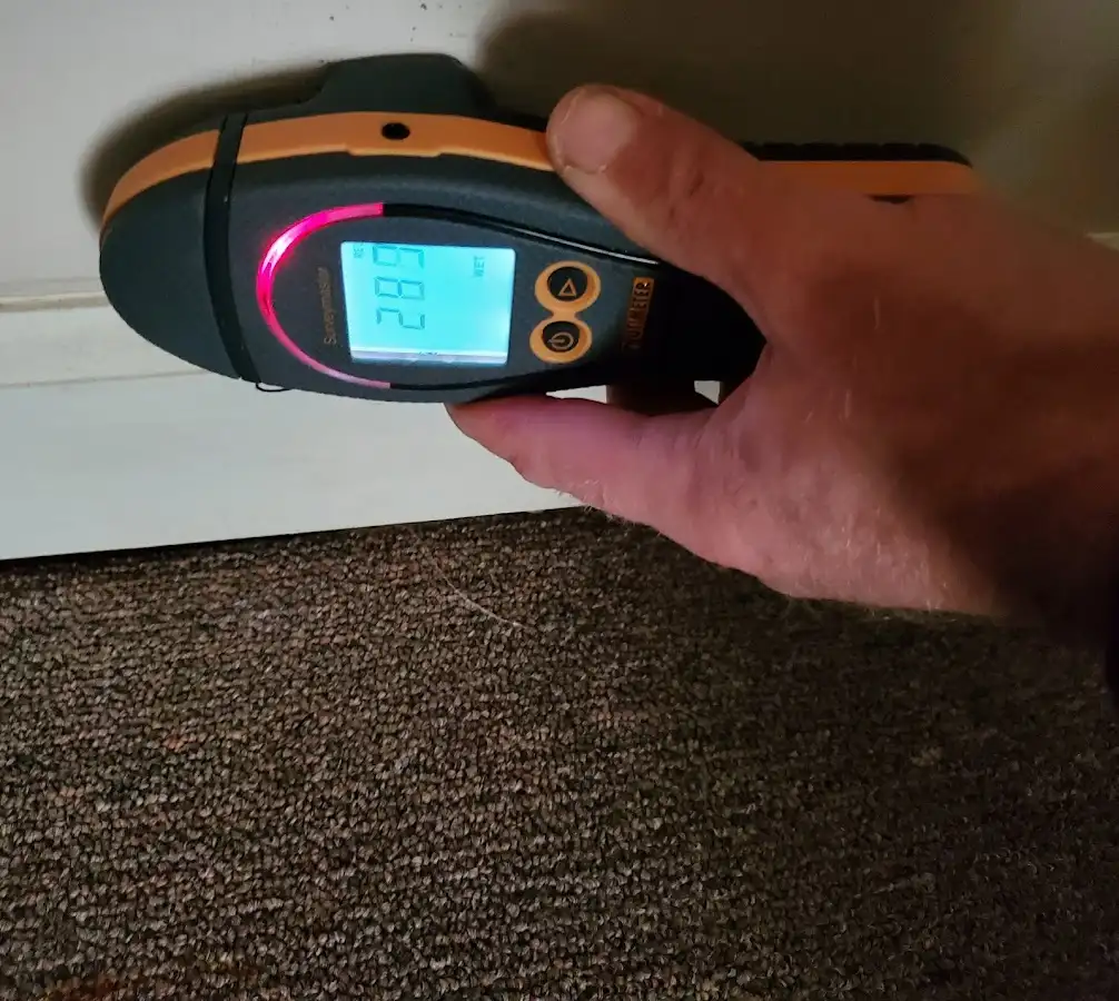 Moisture detection at baseboard during Burst Pipe Cleanup in Palm City
